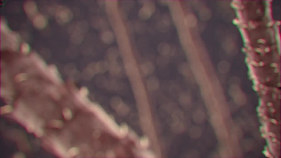 product video 10